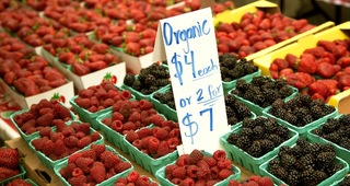 Loft House Apartments Farmers Market